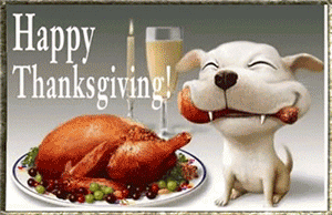 thanksgiving-happy-dog.gif
