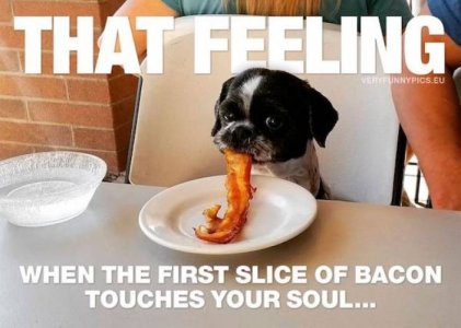 bacon.jpg