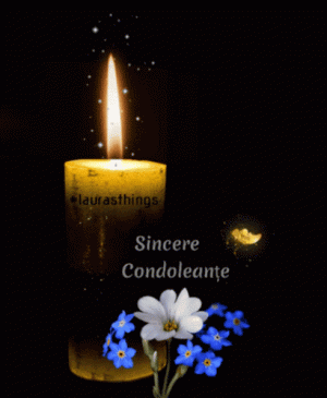 IMG_2236.gif