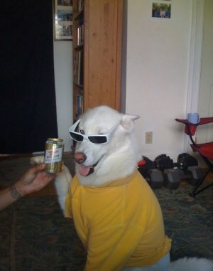 Party Animal_.jpg