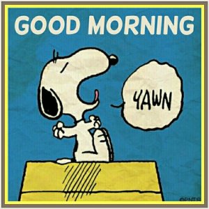 Earrrly Morning Starts with a Yawning Reality….jpg