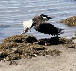 IMG_8097.jpeg