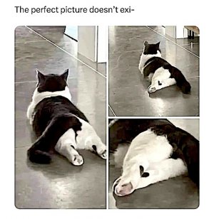 perfect.jpg