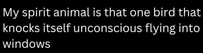 spirit animal.jpg