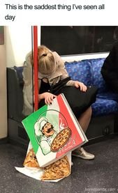 droppedpizza.jpg