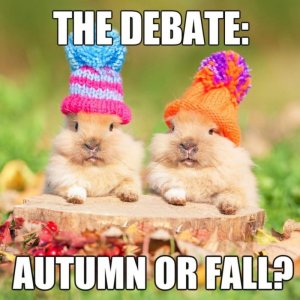 Fall-Memes-1-1024x1024.jpg