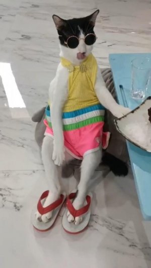 50 Times Pet Halloween Costumes Did Not Disappoint (New Pics).jpg
