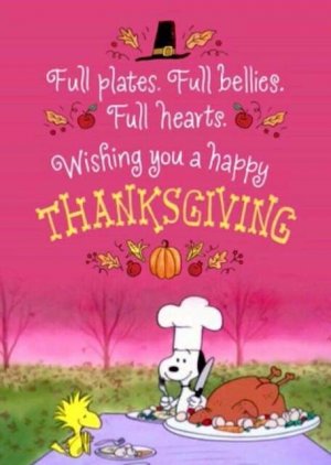 7350378ccca8a535e019a9c958a8a146[1].jpg