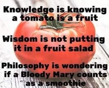 food.jpg