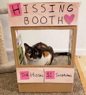 hissingbooth.jpg