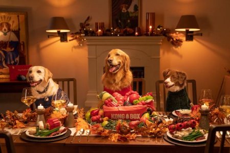 dogthanksgiving.jpg