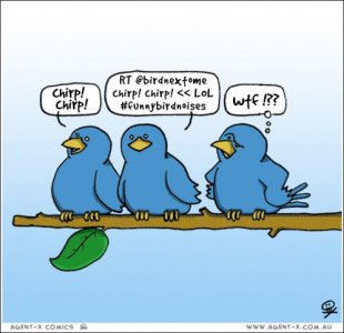 birdnoises.jpg
