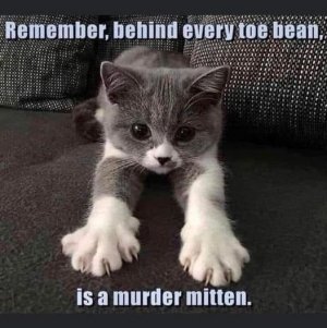 f9b4592cfe886a4478e0ca71f8c3e256.jpg