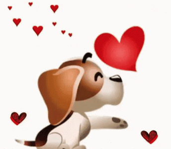 e44dedbdded01915979115bc4ad2c7a7.gif