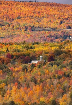 adirondacks.jpg