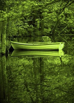 green boat.jpg