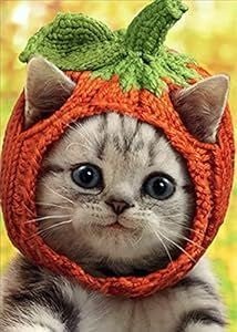 Cutest Pumpkin Ever!.jpg
