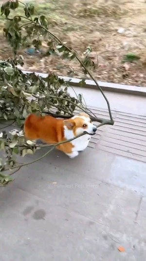 0.jpg