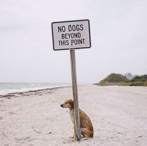 Sign @.jpg