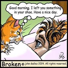 inyourshoe.jpg