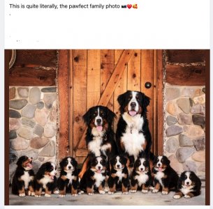 familphoto.jpeg..jpg