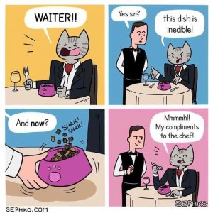 1000006329.jpg