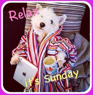 sunday5x.jpeg