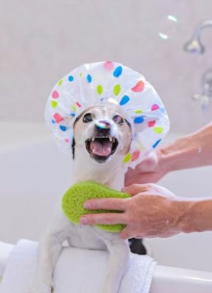 Washing @.jpg