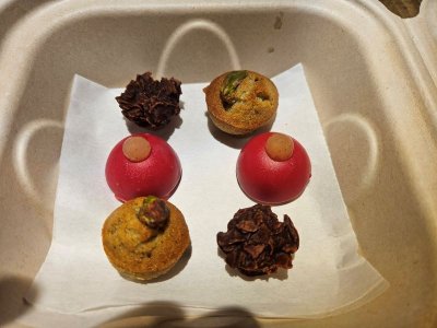 20240418 Mignonn XLR.jpg