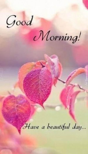 18b46c986b8da07c282566a4ab1d2a9a[1].jpg