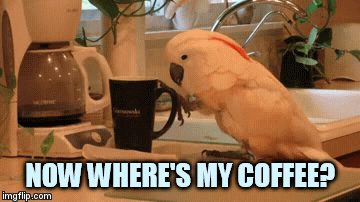 b15bdbf2389ef6f88892d5cf5ba4a31a.gif