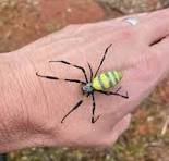 IMG_0729.jpeg IMG_0729.jpeg