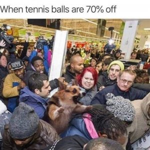 465910342_10161108335898583_802802456922653526_n.jpg