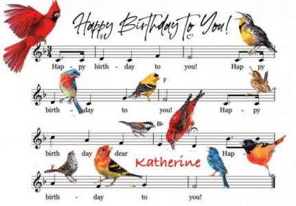 Birthday copy 4.jpg