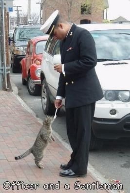 cat and policeman.jpg