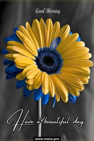 24ab3f8b0888aa88cc836283d257d7a3[1].jpg