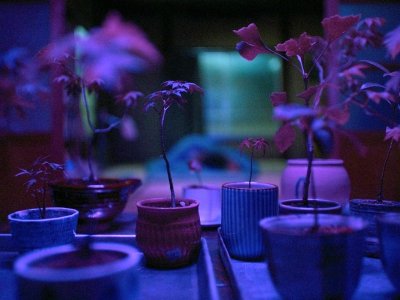 tumblr_52140d243b370849c5441e324a050136_5ce3555e_1280~2.jpg