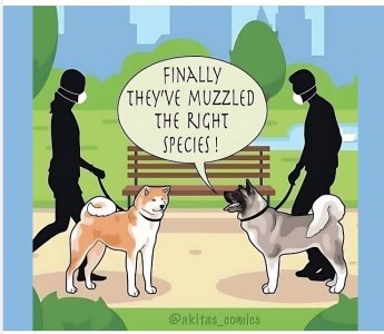 unnamed 2.jpeg