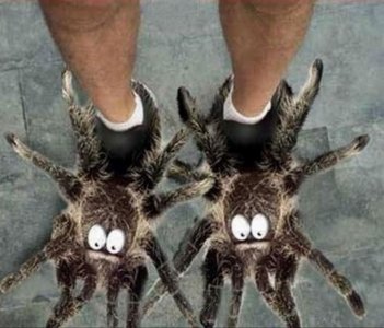 spider slippers.jpg spider slippers.jpg