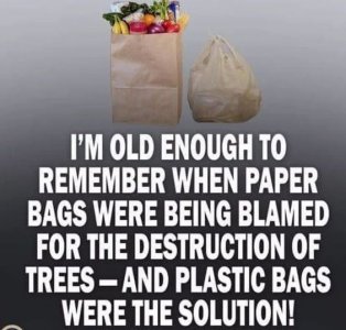 346933495e4cdad42a1b6486f2981059.jpg