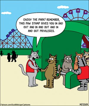 CatAmusementPark.jpg