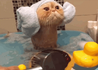 da7e540cdc95bca3e7e040d41c0c1255.gif