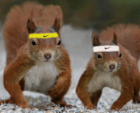 animals_07.gif