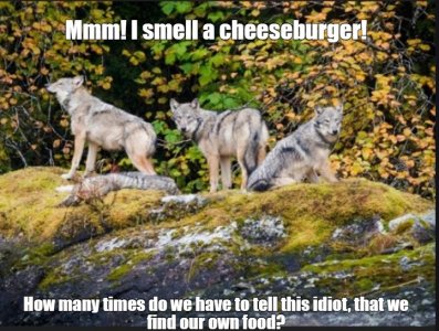 wolves.jpg