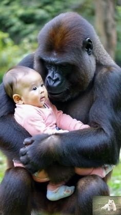 Pin by Spencer on Animals in 2024 _ Funny animals, Animals, Funny.jpg