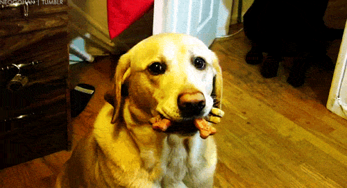 R (1).gif