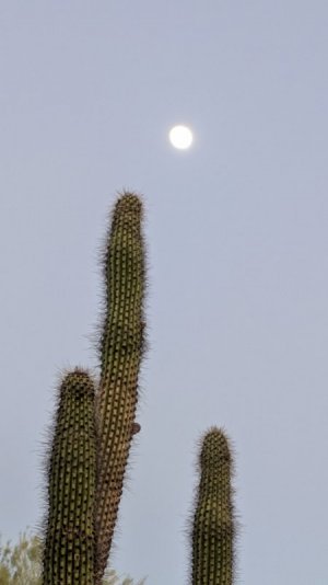 PXL_20241114_004400405.jpg
