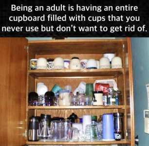 FB_IMG_1731468013916.jpg
