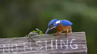 86436427.gif