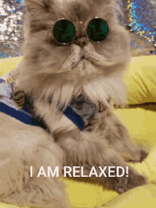 relaxed-relax.gif